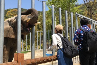 🐅 시로토리 동물원 이미지 2
